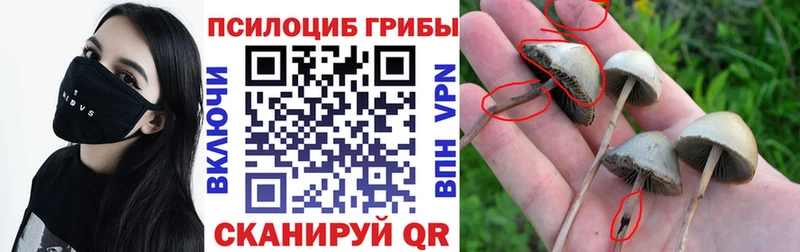 Галлюциногенные грибы Cubensis  Сибай 